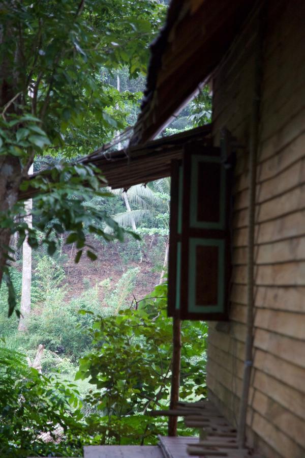 Bedda Eco Cottages Deniyaya Exterior photo